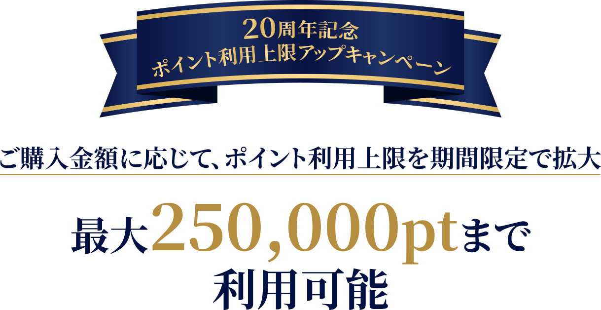 20th Anniversary Point Usage Limit Increase Campaign