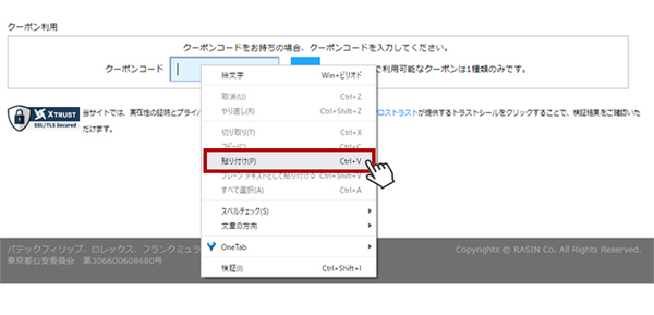 The screen where you "paste" the coupon code into the input field.